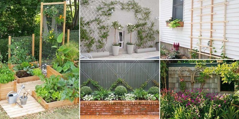 3803216 Garden Trellis Styles