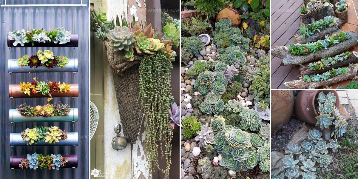 6596870 Succulent Porch Garden Inspiration