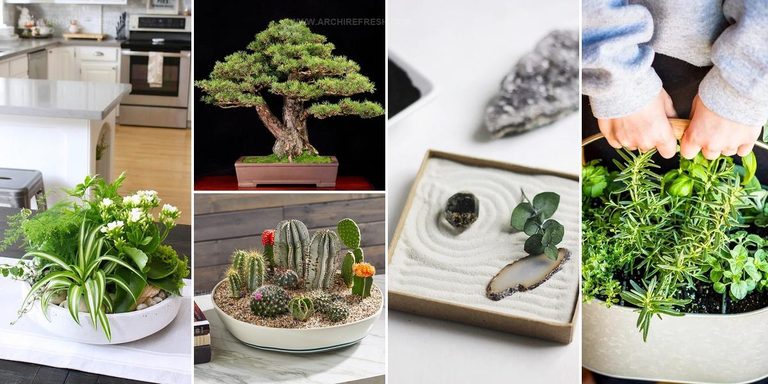 6146343 Tabletop Garden Ideas