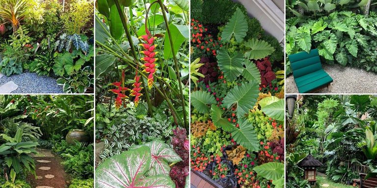 2309776 Tropical Garden Bed Ideas