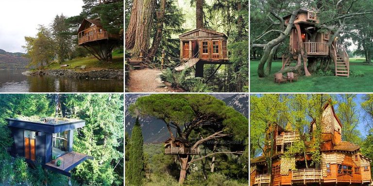 5410581 Tree House Ideas