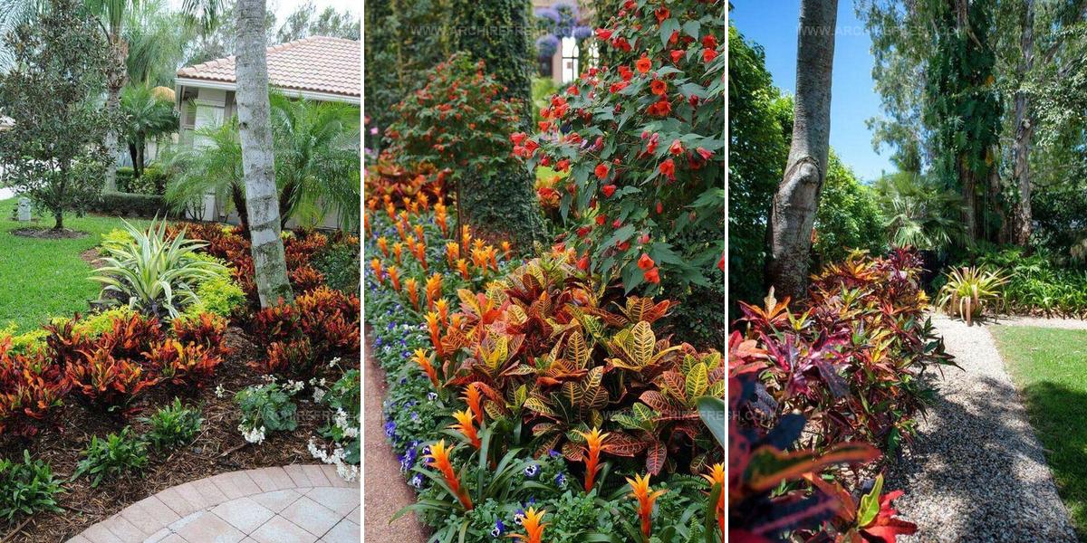 9719072 Croton Landscaping Inspiration