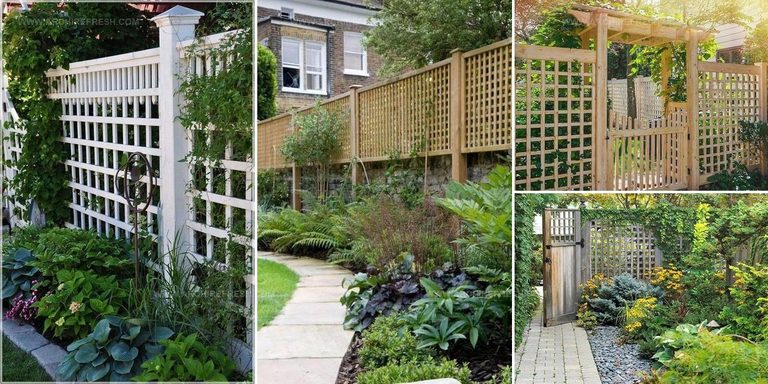 1266000 Trellis Fence Design Ideas