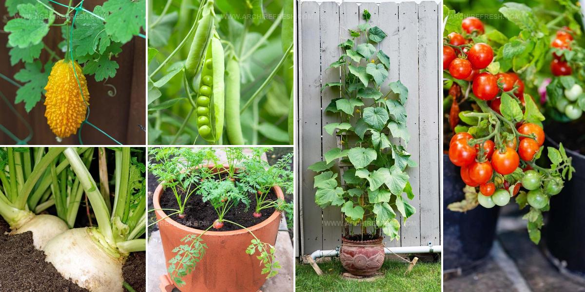 1133881 Vegetables To Grow In Pots