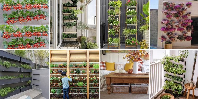 4106742 Vertical Garden Ideas
