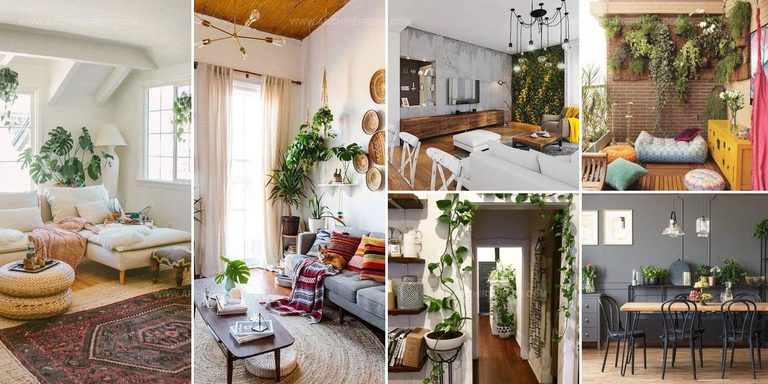 1679735 Apartment Plant Decoration Ideas