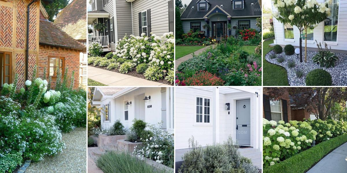 9976591 Front Yard Flower Bed Options