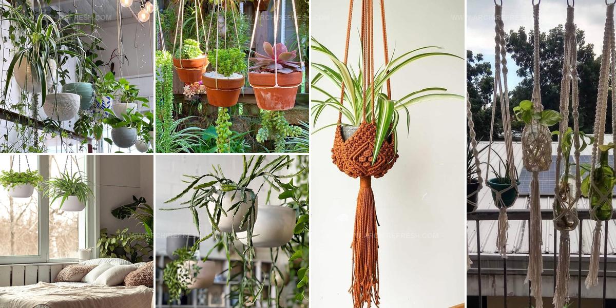 2016407 Hanging Garden Ideas