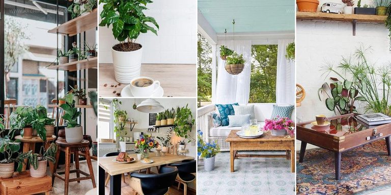 3004437 Coffee Space With Plant Ideas