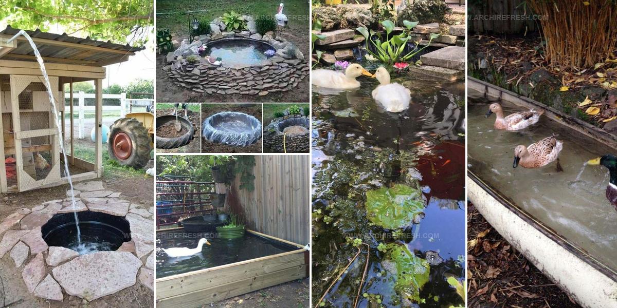 7406042 Backyard Duck Pond Ideas