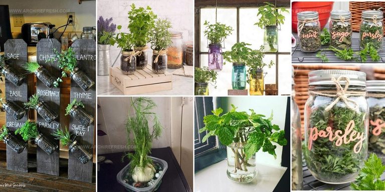 4562303 Herb Display Ideas In Glass Jars