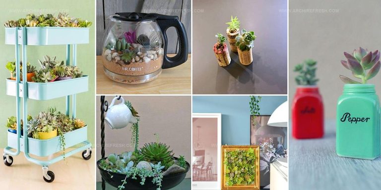 6501293 Succulent Container Ideas From Household Items
