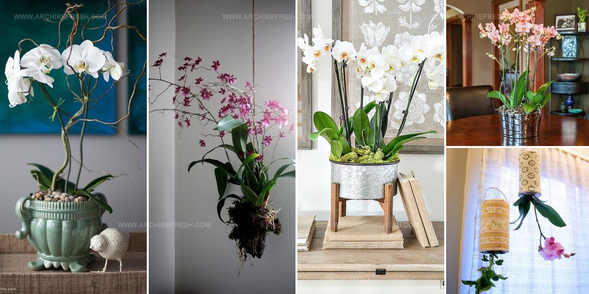 1397425 Orchid Planter Ideas