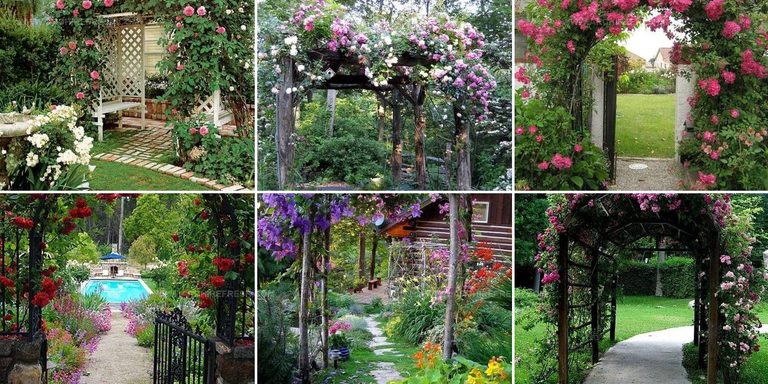 9790934 Flower Covered Garden Gate Ideas