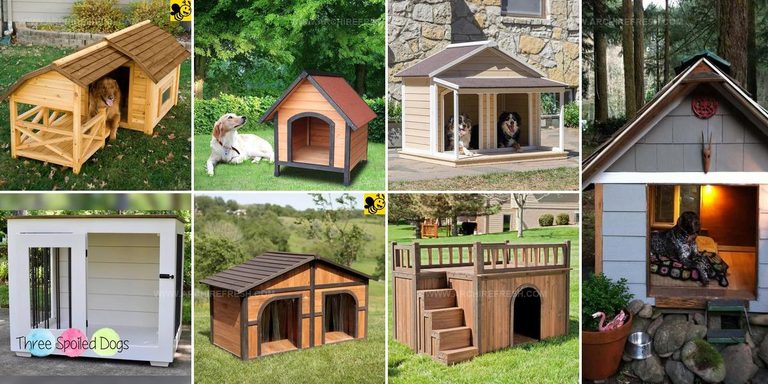 8567897 Outdoor Dog House Ideas