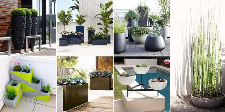 6085025 Outdoor Planter Ideas