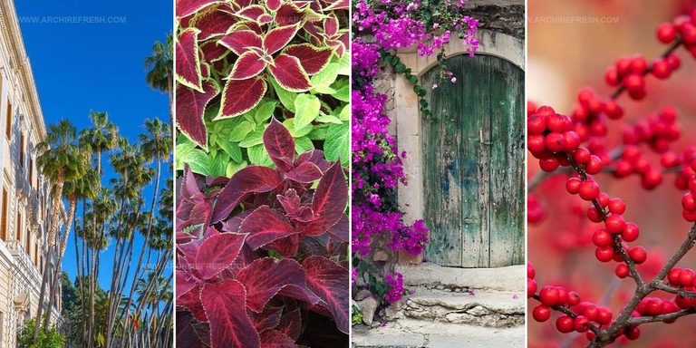 7997766 Salt Tolerant Plants For Beach Landscaping