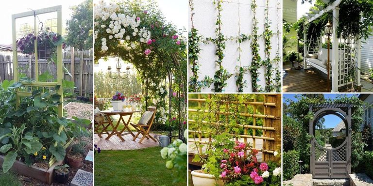 3957230 Garden Trellis Inspiration