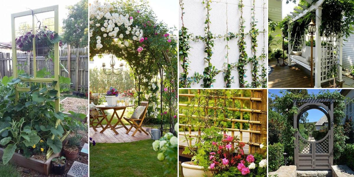 3957230 Garden Trellis Inspiration
