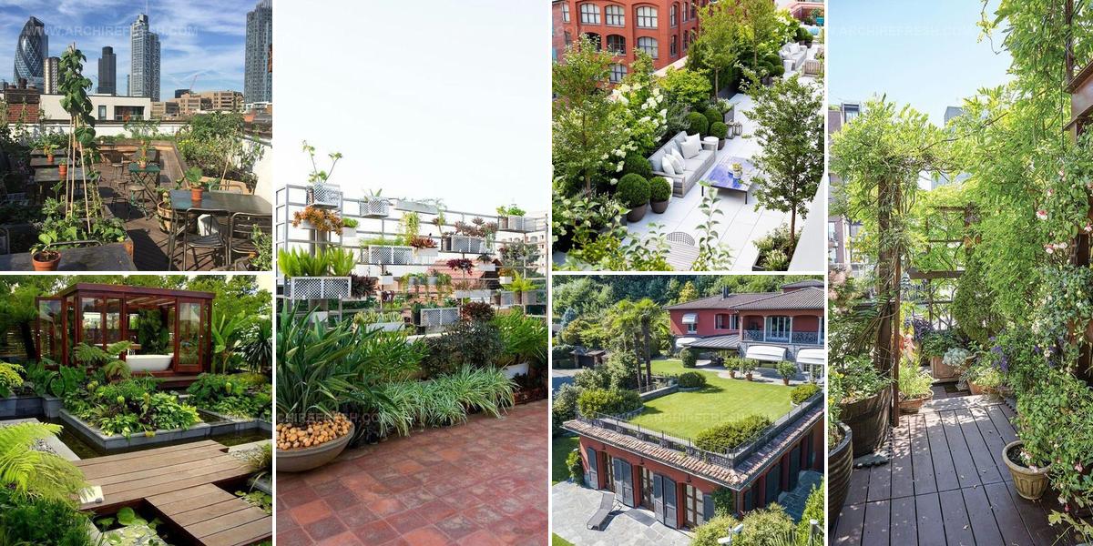 7577076 Rooftop Garden Ideas