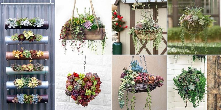1953640 Succulent Hanging Garden Ideas
