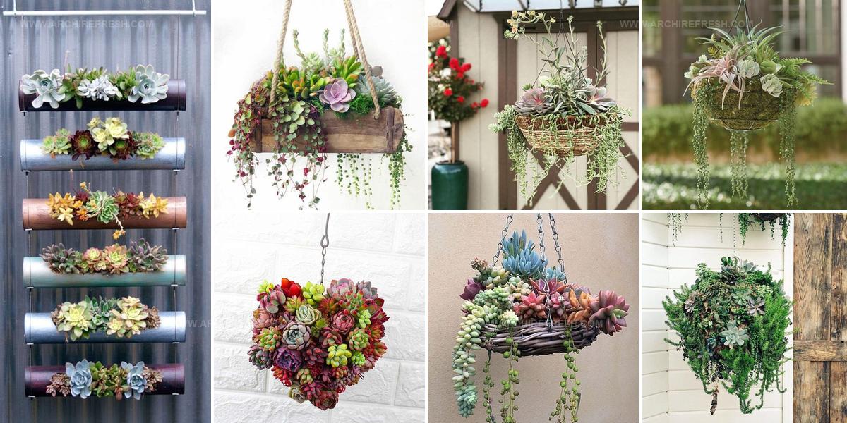 1953640 Succulent Hanging Garden Ideas