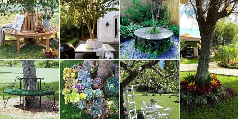 5172393 Space Around Tree Organization Ideas
