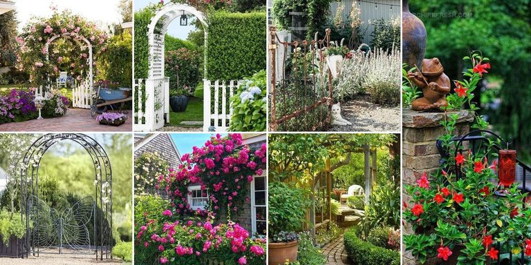 7951853 Garden Gate Ideas
