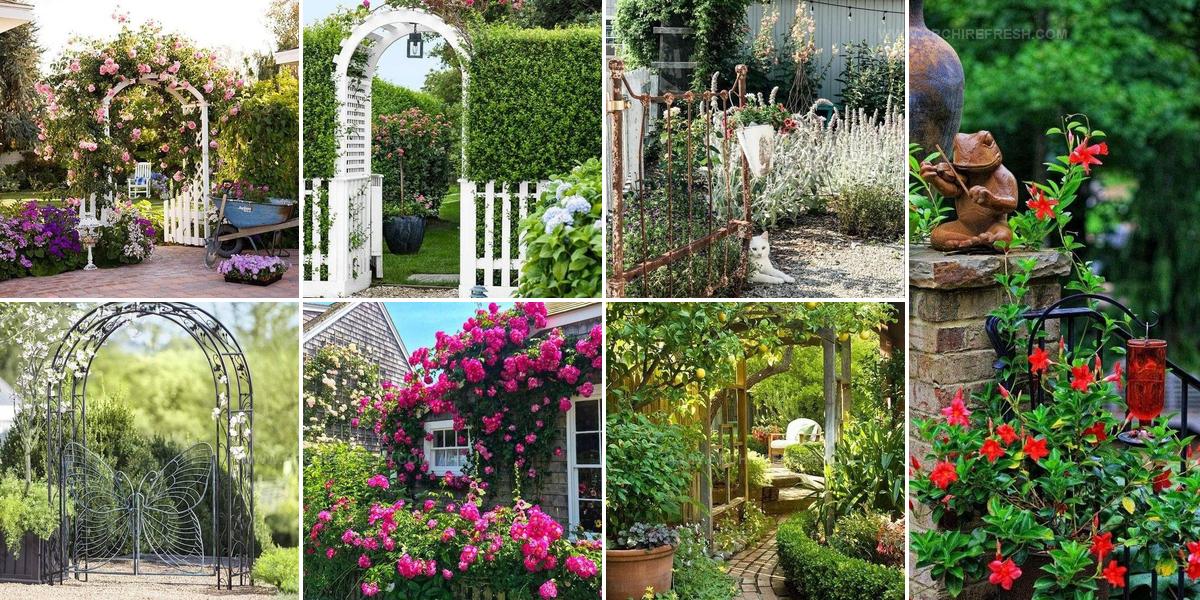 7951853 Garden Gate Ideas