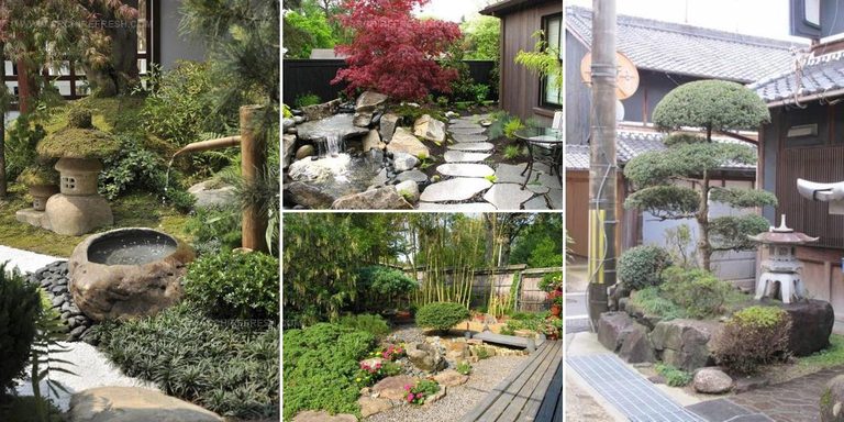 6122735 Japanese Inspired Front Yard Ideas