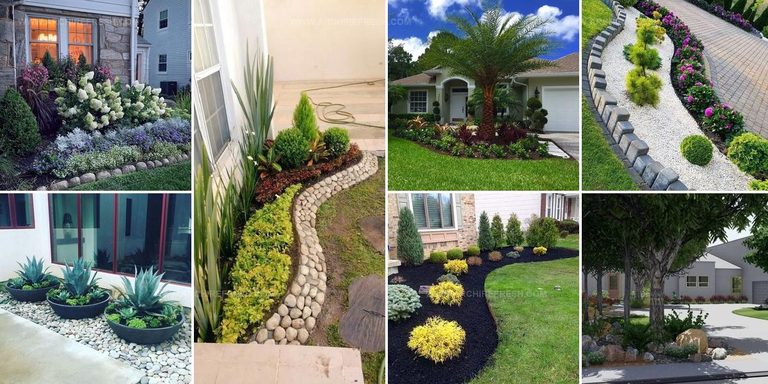 4029331 Front House Landscaping Ideas