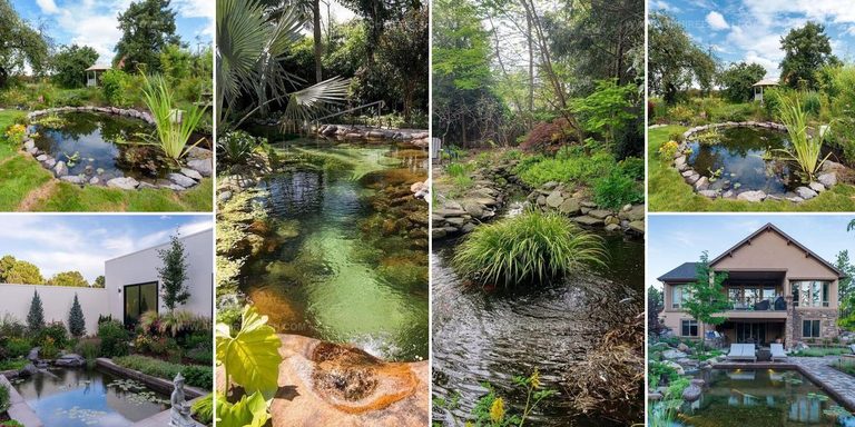 8541698 Backyard Pond Ideas
