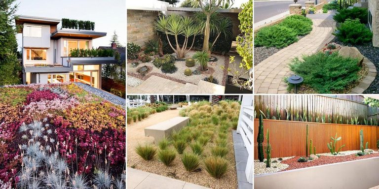 9088175 Side Yard Desert Landscaping Ideas