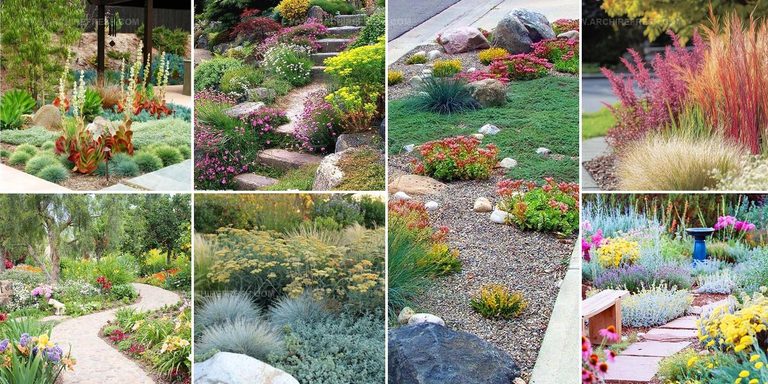 4760949 Drought Resistant Landscaping Ideas