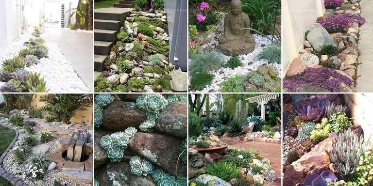 9281939 Rock Garden Design Ideas