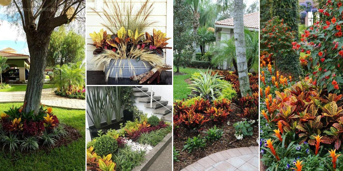 6623287 Croton Landscaping Styles
