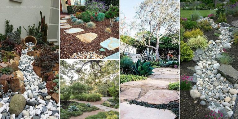 5781951 Low Water Garden Landscaping Ideas
