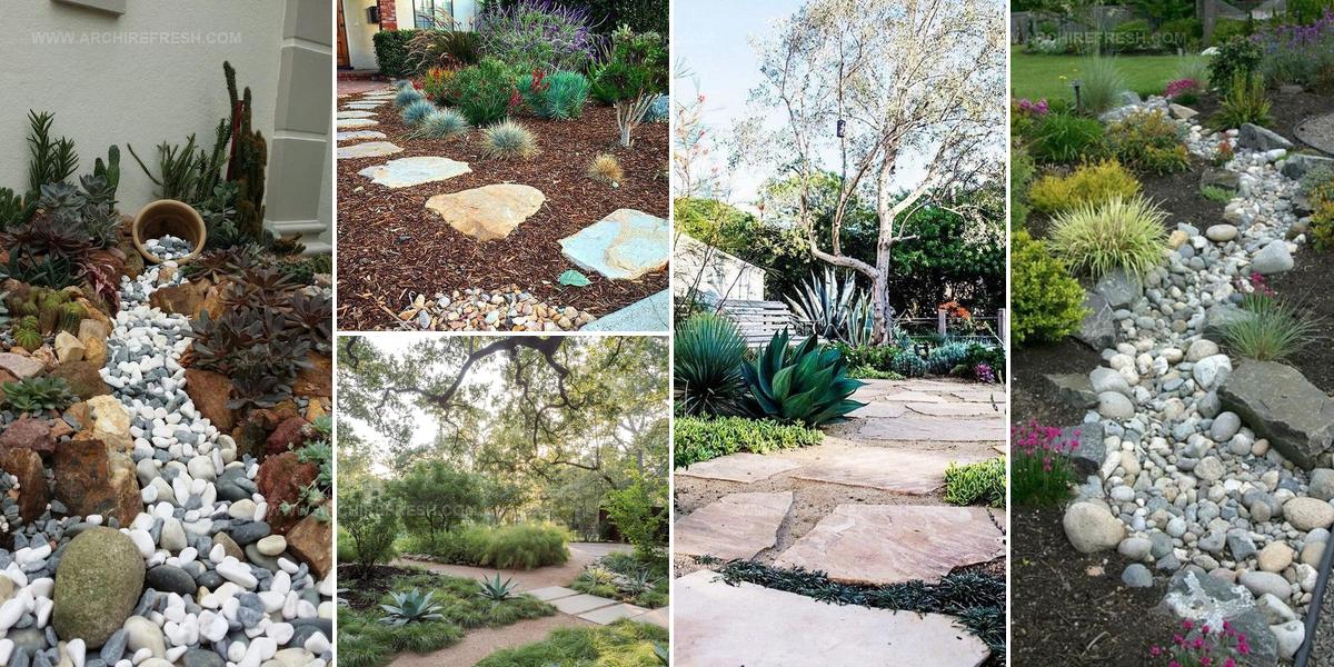 5781951 Low Water Garden Landscaping Ideas