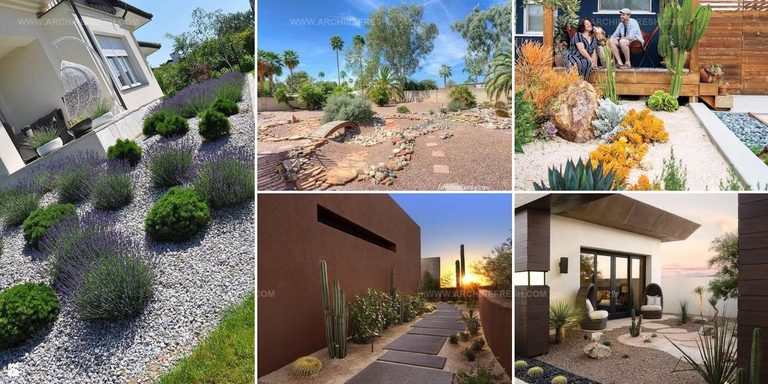 2038976 Desert Landscaping Styles