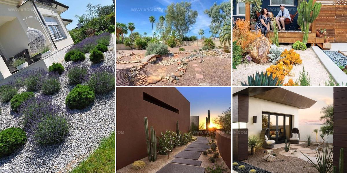 2038976 Desert Landscaping Styles