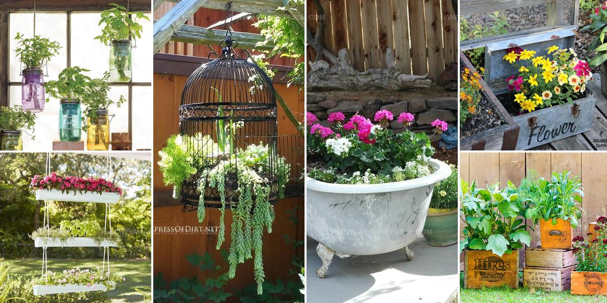 8314563 Container Gardening Display Ideas