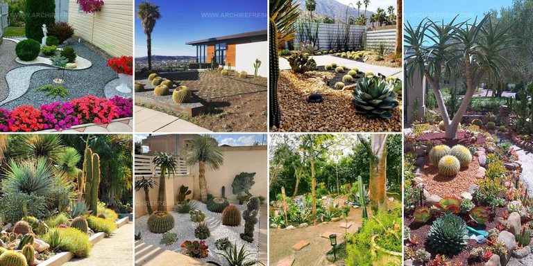 2424477 Inexpensive Desert Landscaping Ideas