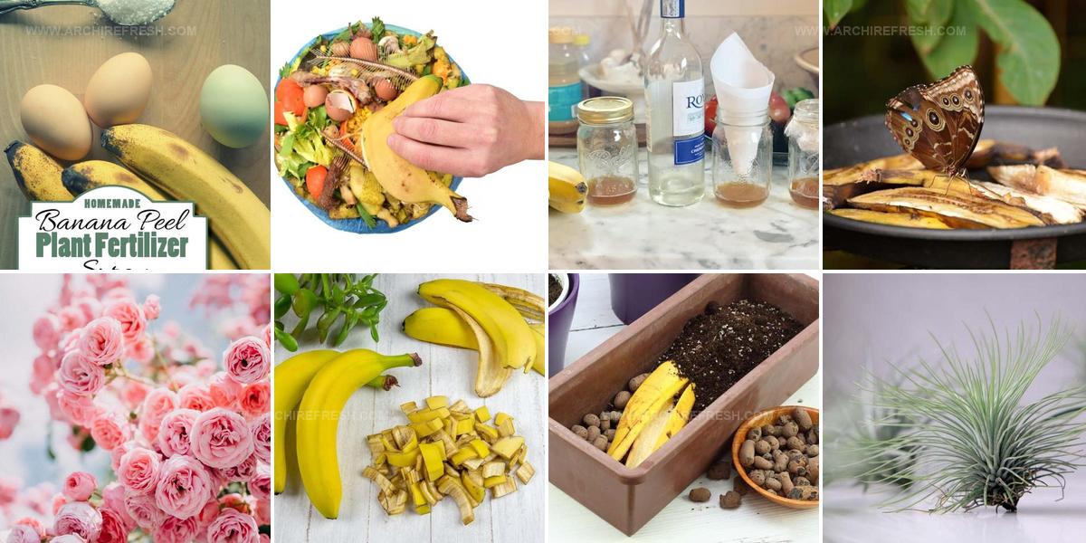 2055534 Banana Peel Garden Uses