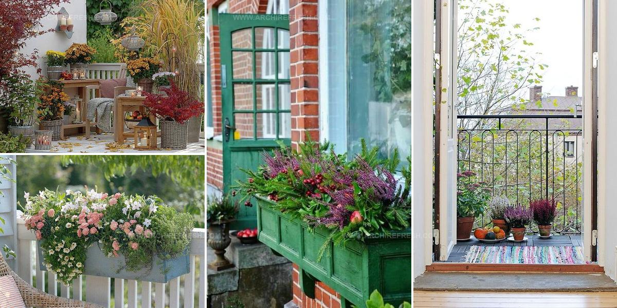 6926740 Fall Balcony Garden Decor Ideas