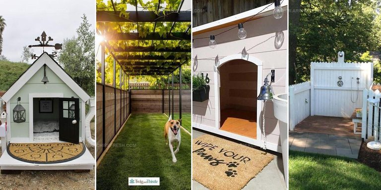 3356998 Outdoor Dog Kennel Ideas