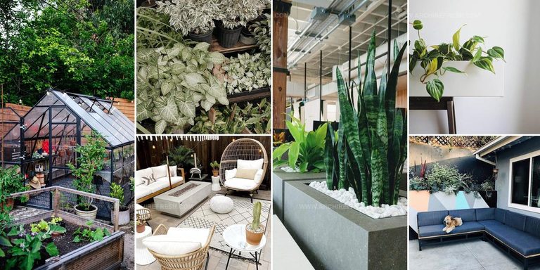 6327045 Best Flower Box Ideas