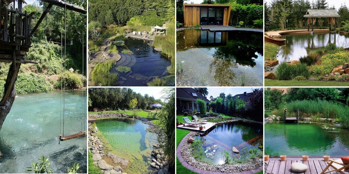 3860497 Natural Swimming Pond And Pool Ideas