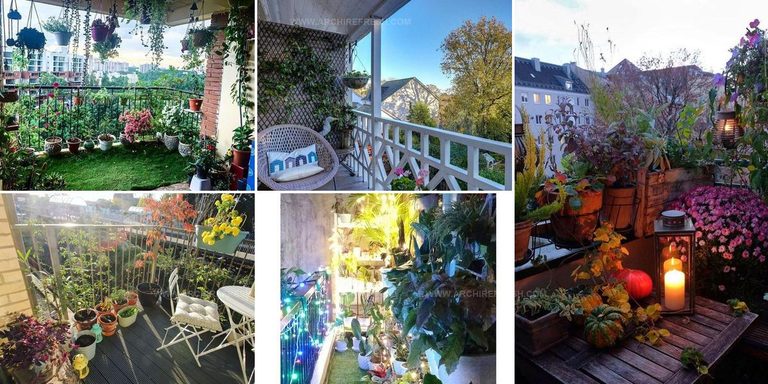 9095523 Balcony Garden Ideas From Instagram