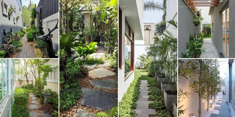 1461584 Side Yard Decor Inspiration