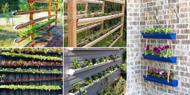 6572828 Rain Gutter Garden Ideas
